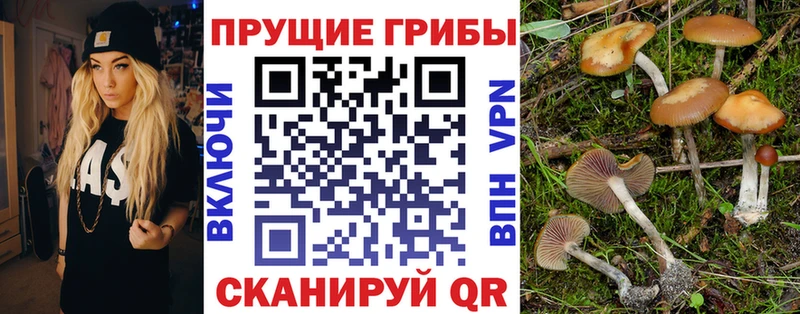 Галлюциногенные грибы MAGIC MUSHROOMS  Ленск 